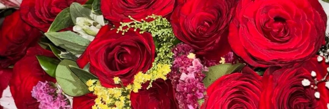 Micheelmv's profile banner image