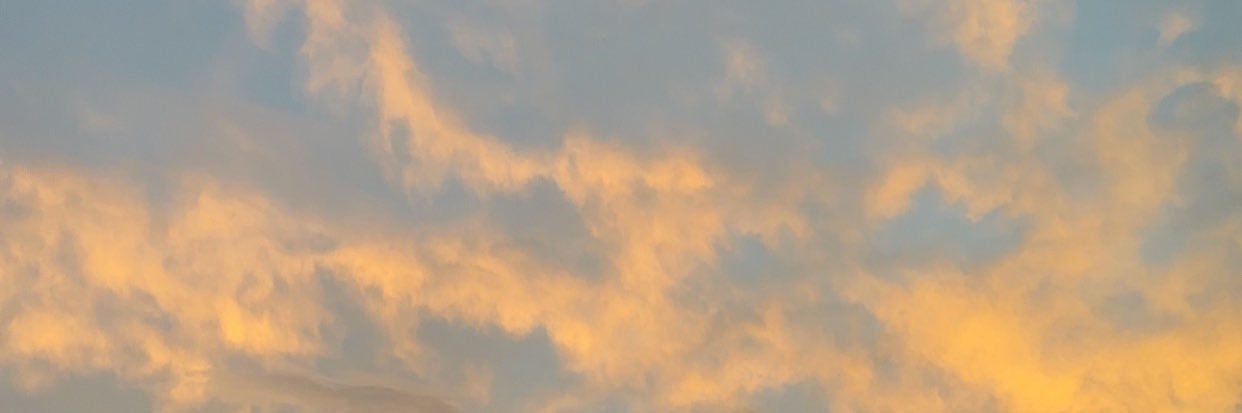 CarolineH33's profile banner image