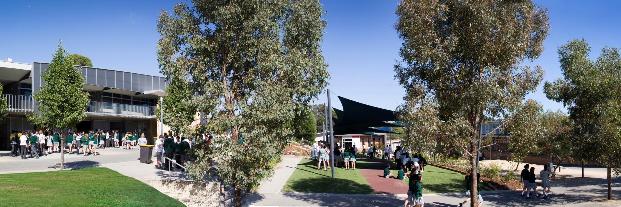 Mount Waverley SC banner