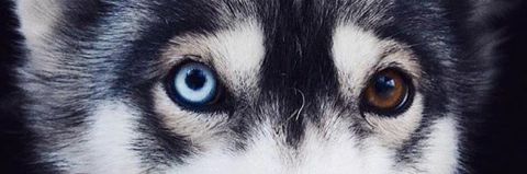 Nina__HT's profile banner image