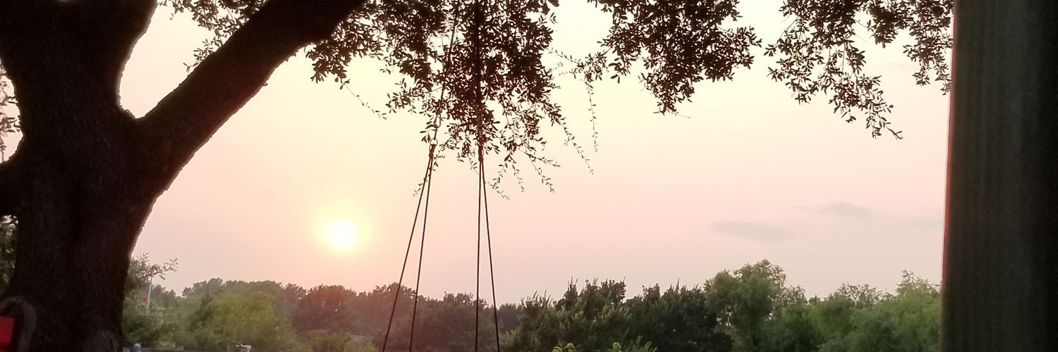 lwallace4009's profile banner image