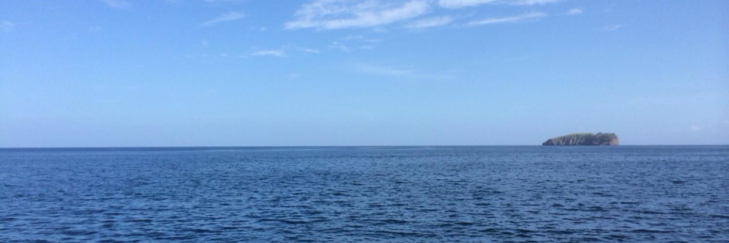 Maggs_Olson's profile banner image
