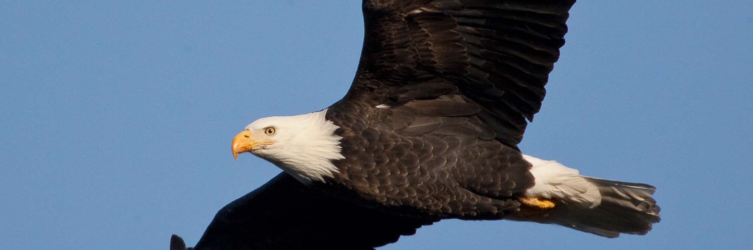 EagleInvest_'s profile banner image