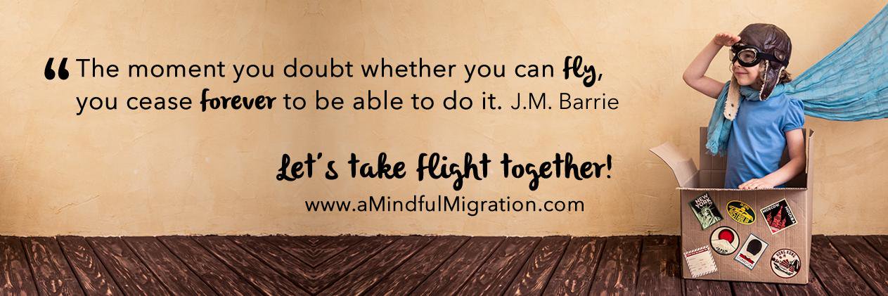 MindfulMigrate's profile banner image