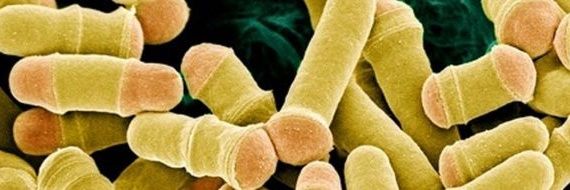 Dom Helmlinger banner