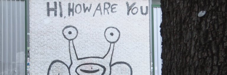 Amelia Ritthaler banner