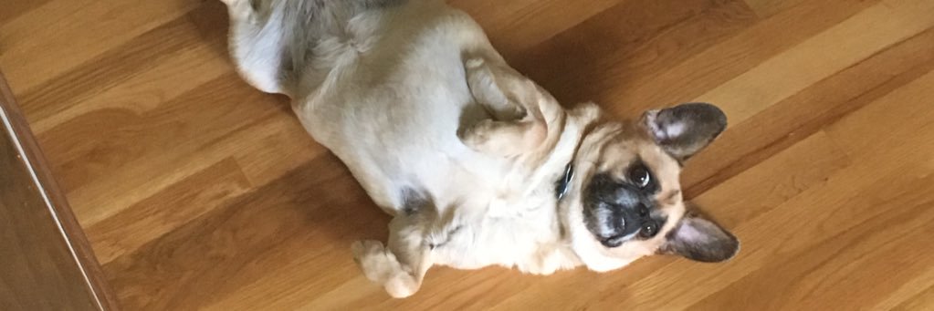 Dalton Strunk banner