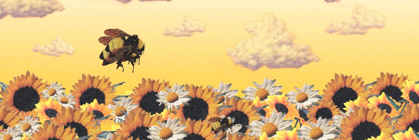 yamocaa's profile banner image