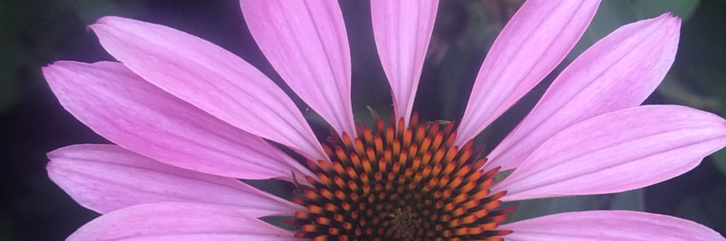 K8lynNicholeee's profile banner image