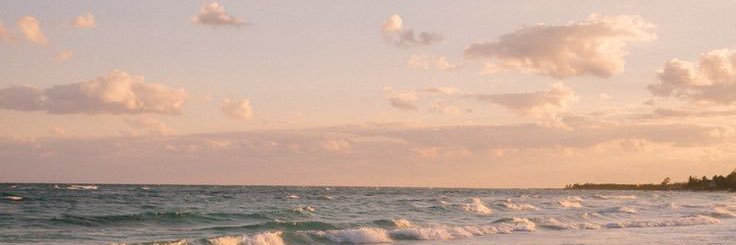 bloomingluuvv's profile banner image