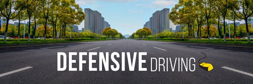 DefensiveDriving.com banner