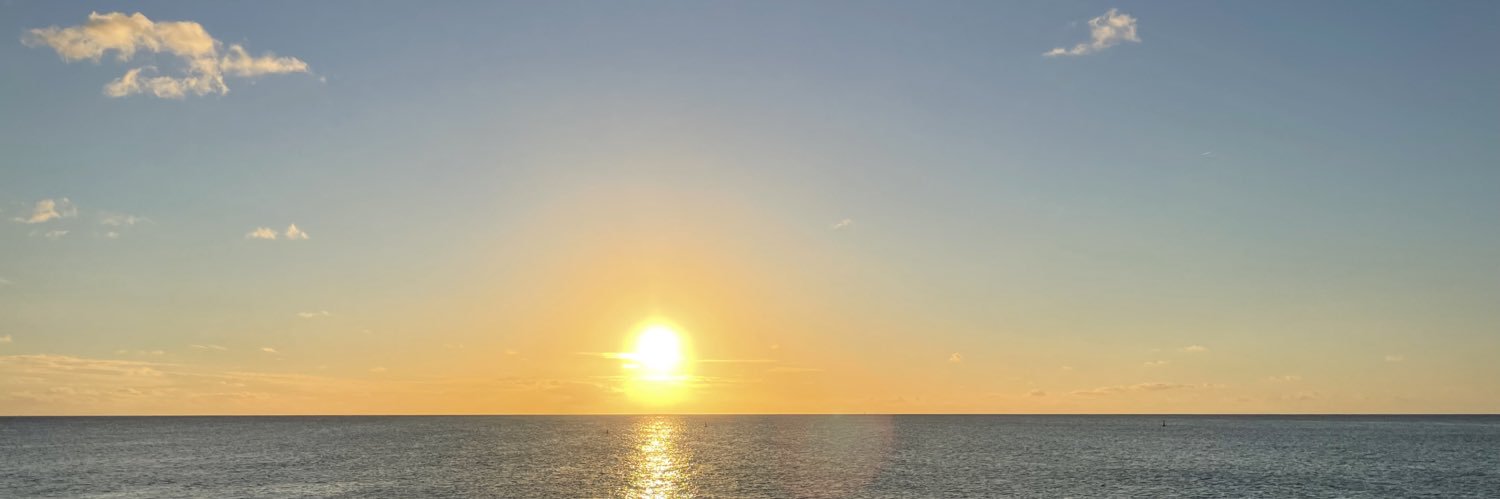 bicevs's profile banner image