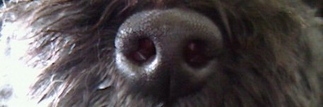 あるは@ALHASOFT banner