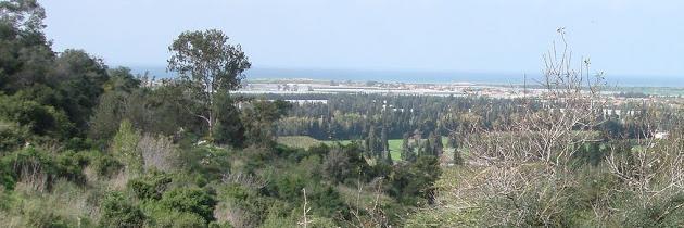Sahar banner