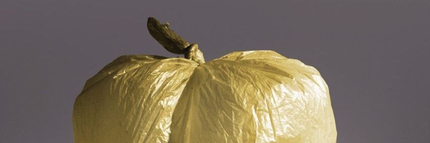 Ignacio Vleming banner