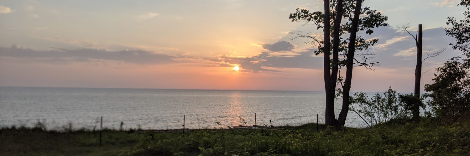 wolverienstra's profile banner image