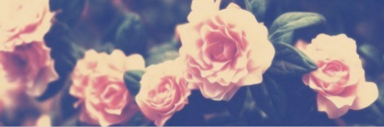 brii_36's profile banner image