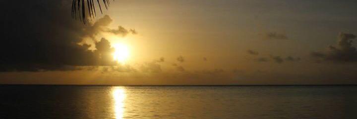 mikelancellotti's profile banner image