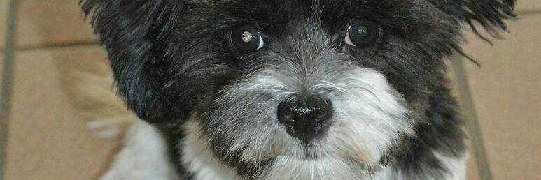 finja2001's profile banner image