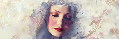 tvdfangatic's profile banner image