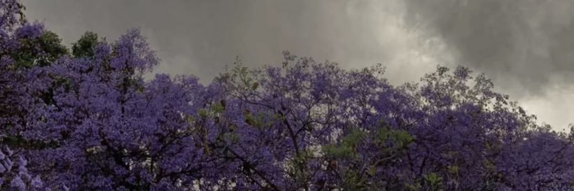 ToOoT_ToOoT_'s profile banner image
