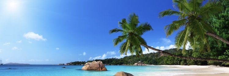 Chloe Morgan banner