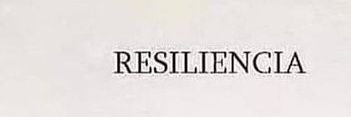 agostina banner