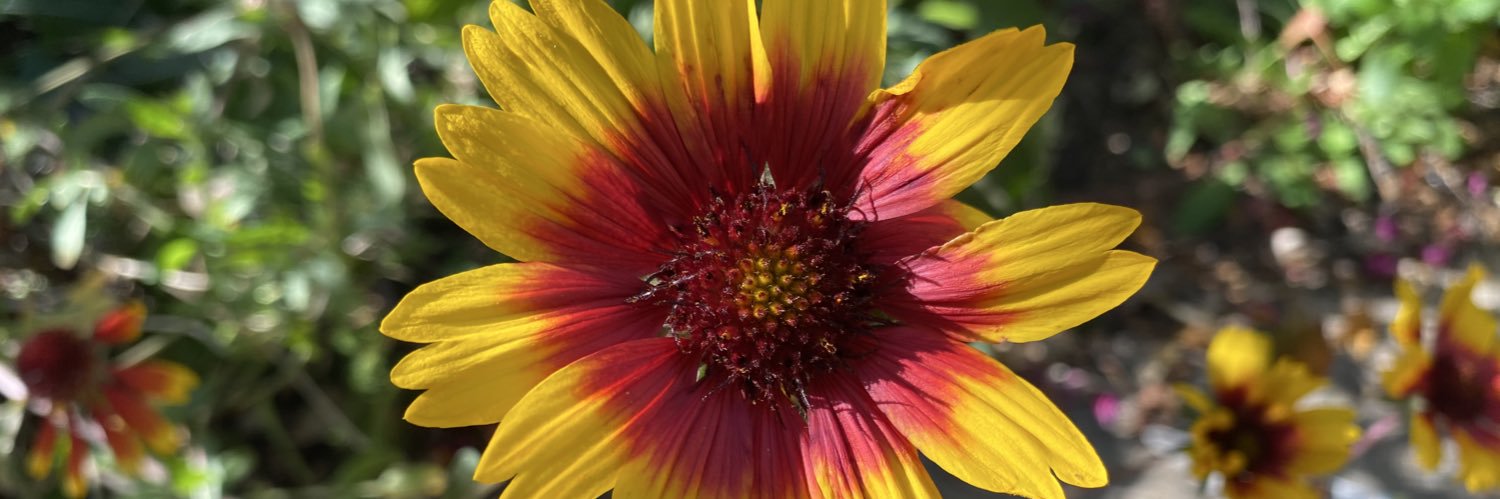 ForABetterWorld 💙 #TrueBlue 💙 banner