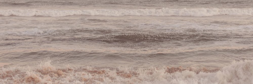 marianazalez's profile banner image