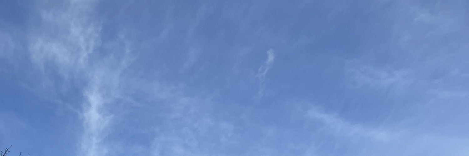 ebbakoril's profile banner image