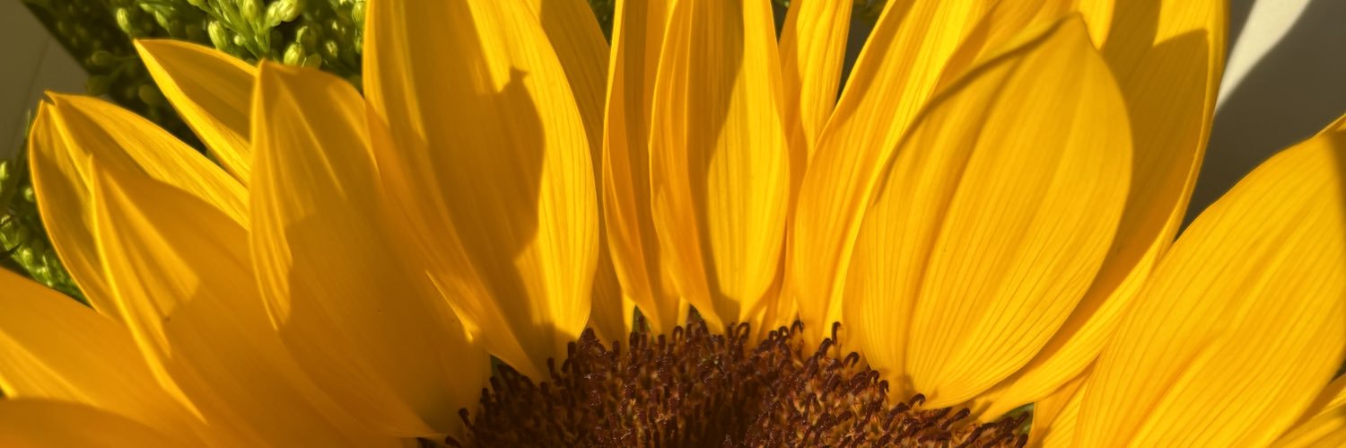 xcxbv_'s profile banner image