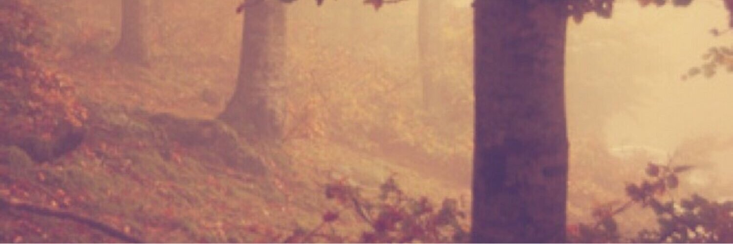 zayd1167's profile banner image