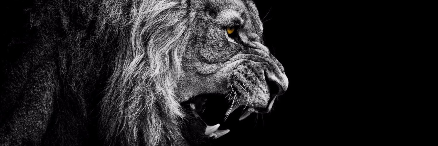 OB_Stevie's profile banner image