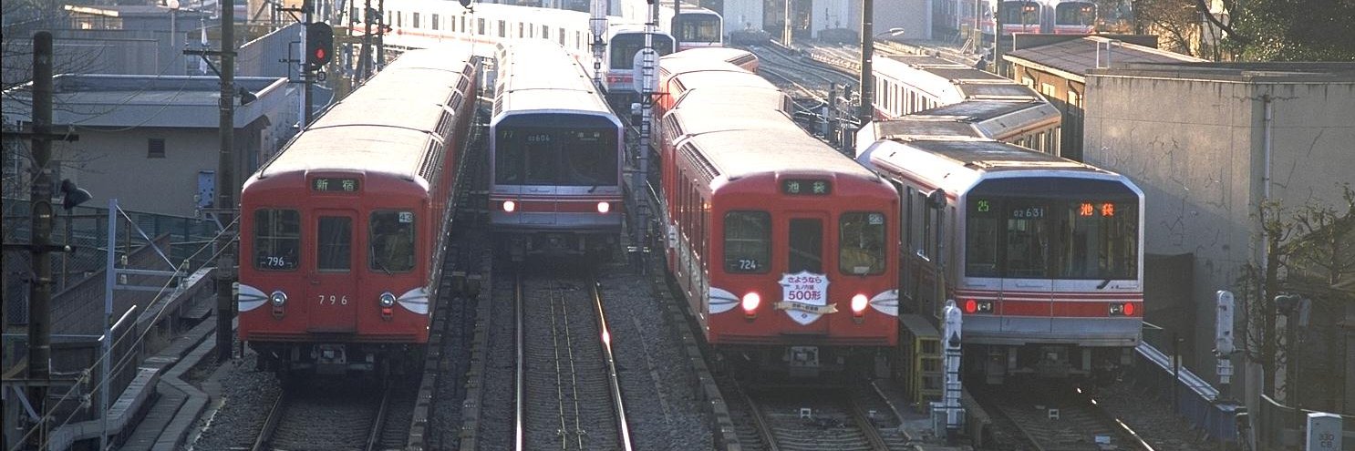 咲夜 はたて🇯🇵🇦🇷 banner