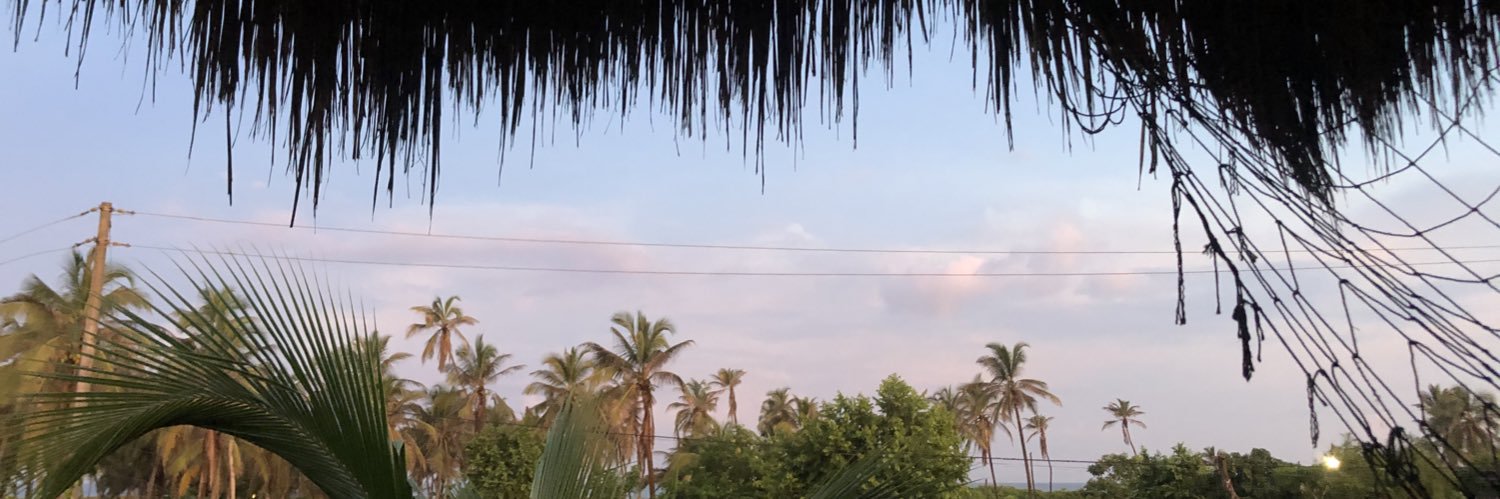 DaniloHdz8's profile banner image