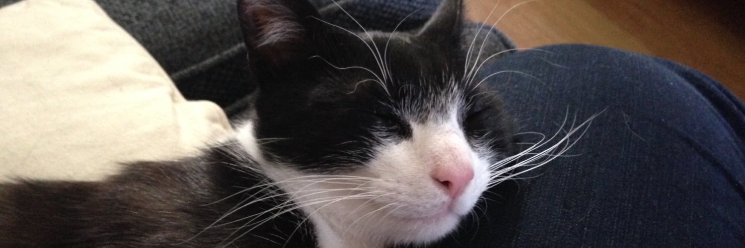 henrybobfrost's profile banner image