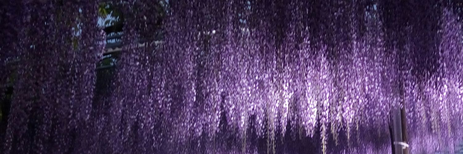 marusuuuuu's profile banner image