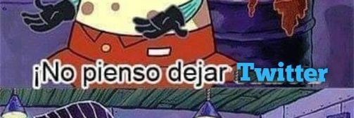 vero banner