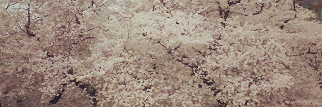 AmberleMiller's profile banner image