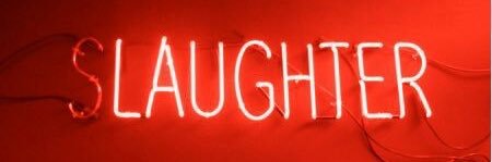 Satellight47's profile banner image