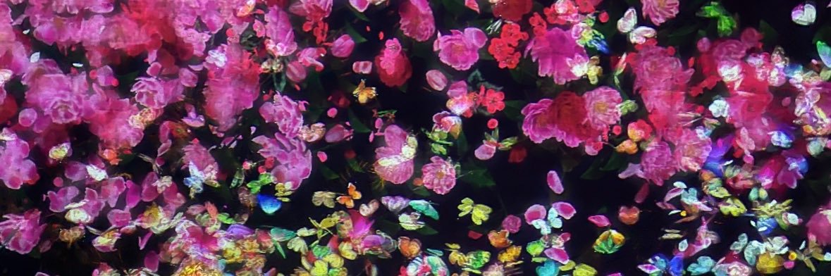🛡️ tali krakowsky apel🛡️ banner