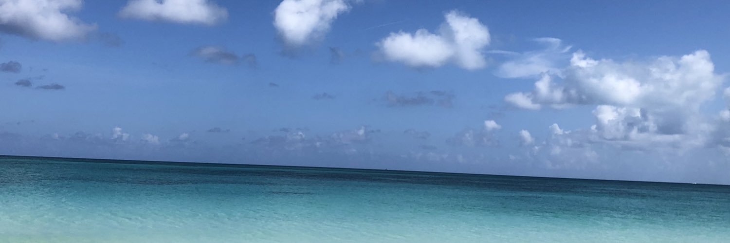 luisxarmas's profile banner image