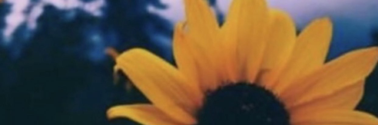 MariahKay6's profile banner image