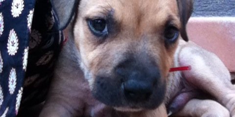 MaxDelgado9's profile banner image