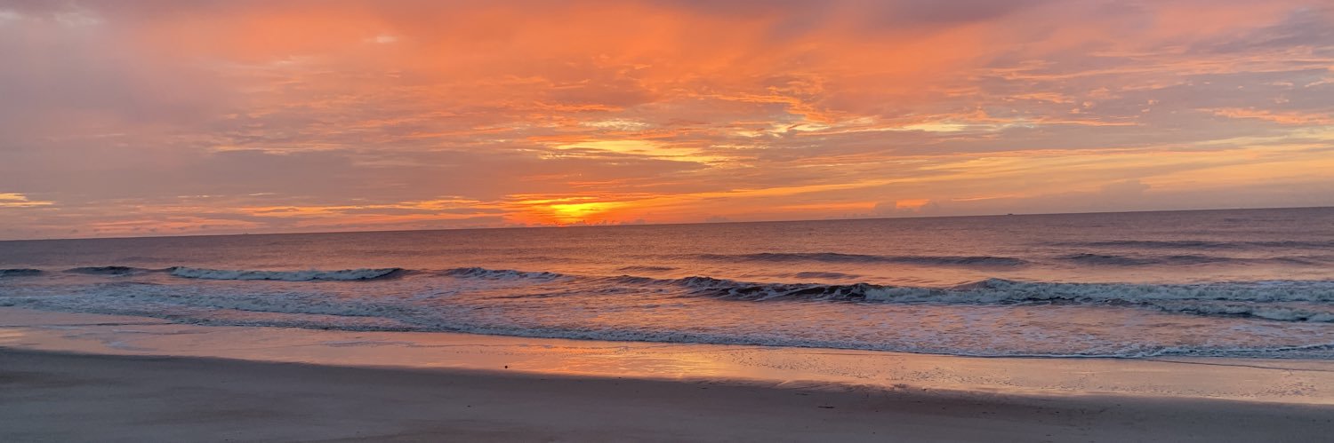 LaineeHall's profile banner image