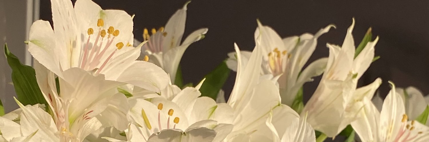 valenmassari's profile banner image