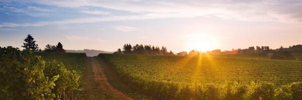 beauxfreres Profile Banner