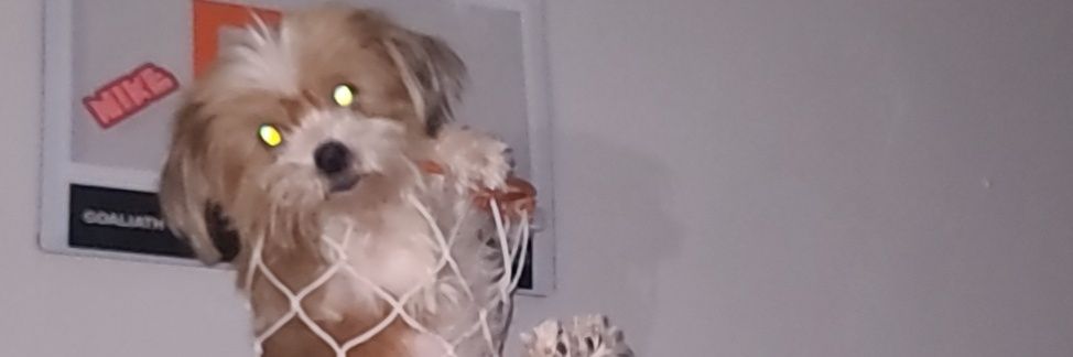 Stallings_210's profile banner image