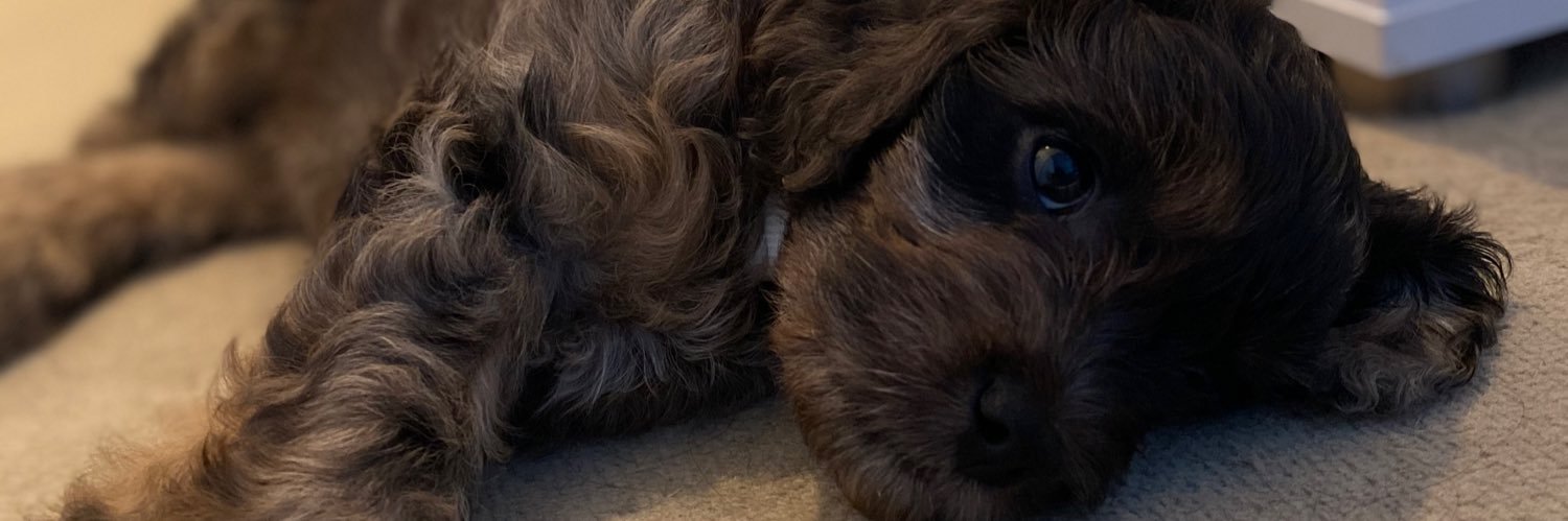 Jboydy9's profile banner image