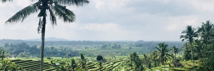 joepaulsullivan's profile banner image